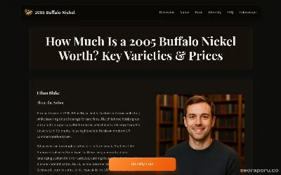 2005buffalonickel.com
