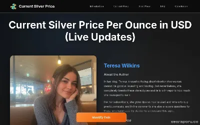 currentsilverpriceperounceusd.com