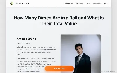 dimesinaroll.com