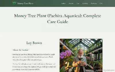 money-treeplant.com