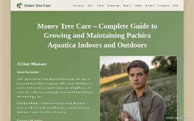 moneytreecare.com