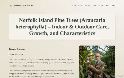norfolkislandpine.com