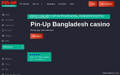pin-upcasinobangladeshdownload.com