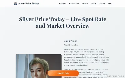 silverpricepergramtoday.com