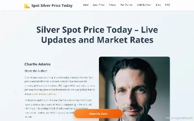 spotsilverpricetoday.com