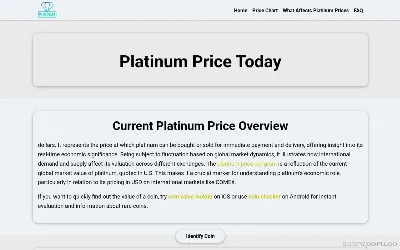 1-gram-platinum-price.com