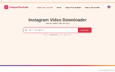 instadownloaderpro.com