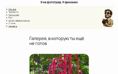 kryshi.net