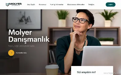 molyerdanismanlik.com.tr