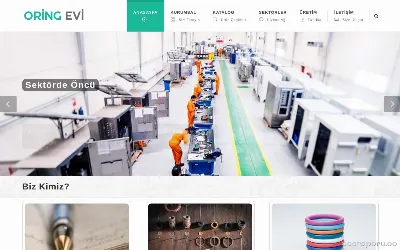 oringevi.com.tr