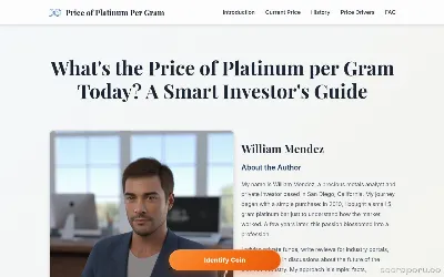 price-of-platinum-per-gram.com