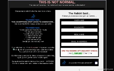 rabbitholetraffic.com