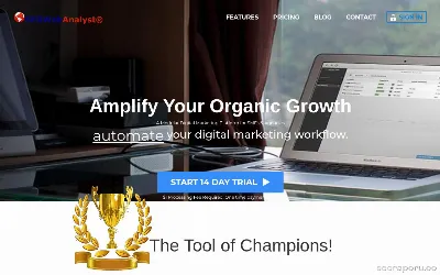 seowebanalyst.com