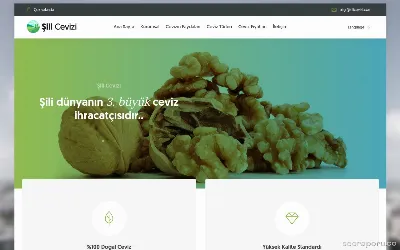 silicevizi.com