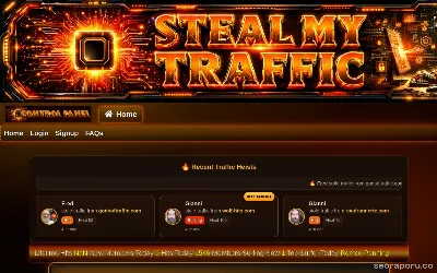 steal-traffic.com