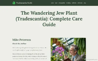 wandering-jewplant.com