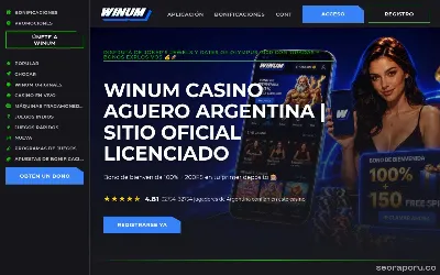 winum-aguero.com